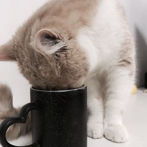 同性乱伦视频免费播放
