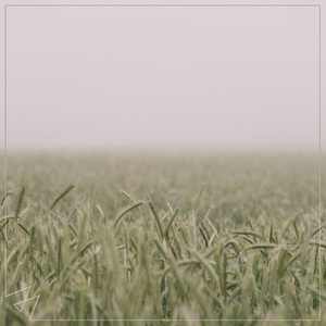 同性乱伦视频免费播放
