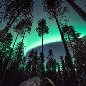 同性乱伦视频免费播放
